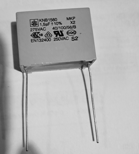 20241002_131557.jpg